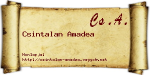 Csintalan Amadea névjegykártya